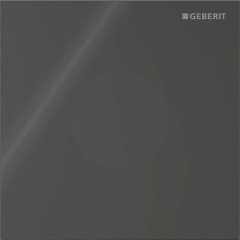 GEBERIT 246120SJ1 Plaque de recouvrement Type 40 pour commande WC IR (1/4)