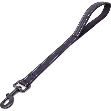 Short Dog Leash (1/5)