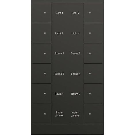 Busch Jaeger 12f.Bedienelement SB/U12.0.11-885 schwarz matt