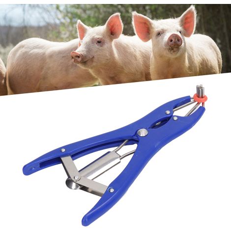 Une pince à anneaux de castration en plastique + 100 anneaux de castration rouges - kit de pince à anneaux de castration vétérinaire. (1/5)