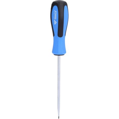 BRILLIANT TOOLS Destornillador plano 4,0 x 100 mm - BT031002 (1/4)
