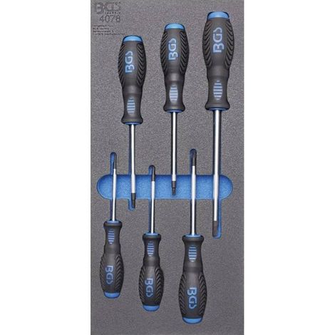 Insert de Servante d Atelier 1/3 - 6 pcs Tournevis Profil T (Torx) - Organisation et Accessibilité Optimales - D-Work