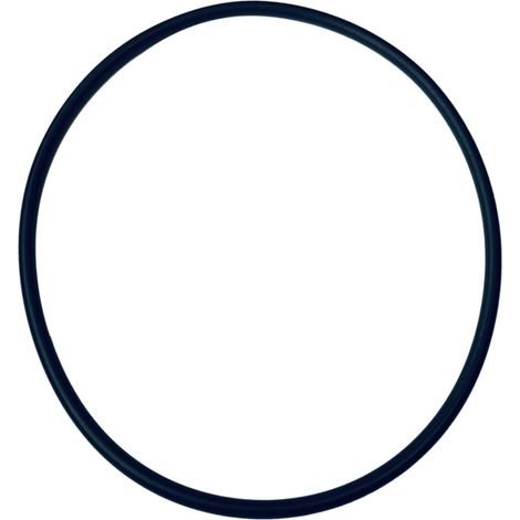 Wilo mechanisches Ersatzteil O-Ring Id.107,54X3,53 VP. (1/3)