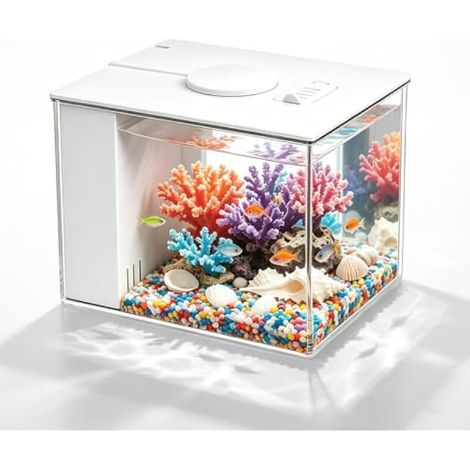 Aquarium Complet, Mini Aquarium avec LED et Pompe Filtrante USB (1/5)