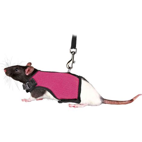 Harnais doux avec laisse, rats 12-18 cm, 1,20 M