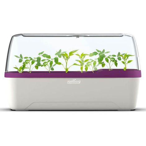 Romberg BOQUBE L PLUS Gewächshaus & Pflanzkasten-System 41x17x23cm mit Belüftung weiß/pflaume (1/5)