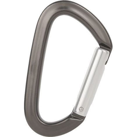 Klettersicherheitskarabiner, Aluminiumlegierung, D-förmig, für Hängematte und Schlüsselanhänger, grauer Korpus, silberner Schaft, Schnellverschluss (1/5)
