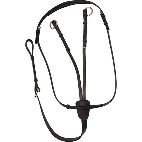 Full, Marrone: Winner Special Leder Collier Martingal