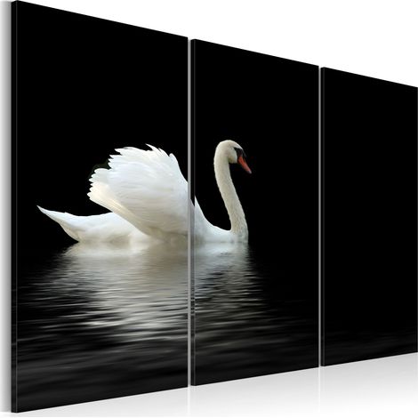 Quadro - Cigno bianco solitario - 120x80 (1/4)