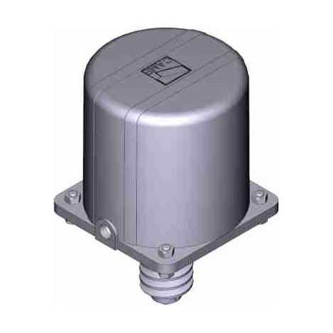 Gruppo Motore Elettrico Cat-X24 24v Ricambio CAME 119RIX011