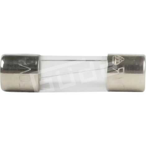 Glassicherung 500mA (1/2)