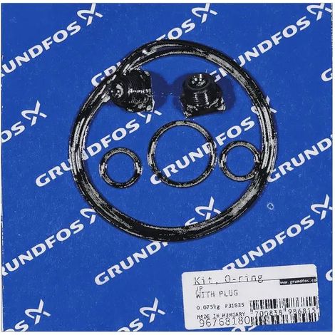 GRUNDFOS Ricambio Kit O-Ring per JP5/6 con tappo, 96768180