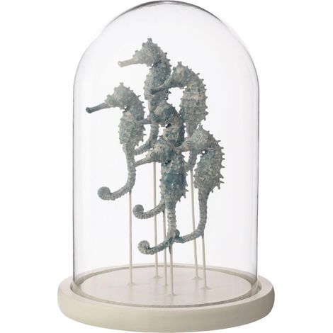 Cloche Déco en Verre "Hippocampe" 26cm Bleu (1/3)
