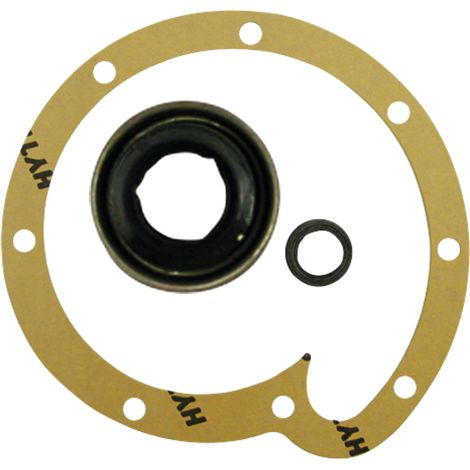 Kit di riparazione per pompa dell'acqua CASE IH 3055285R95