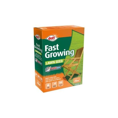 Fast Growing Lawn Seed 500g (1/6)