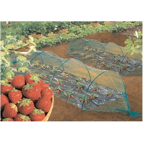 Nortene-Malla antipájaros verde Birdnet 120010 5380/4X06MT (1/2)