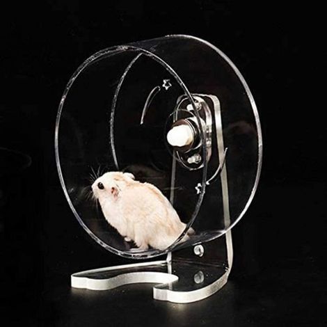 1 Boule Hamster, vélo d'appartement silencieux, roue pour rongeur 20 cm, jouet d'activité intérieure pour hamster nain ou syrien (1/4)