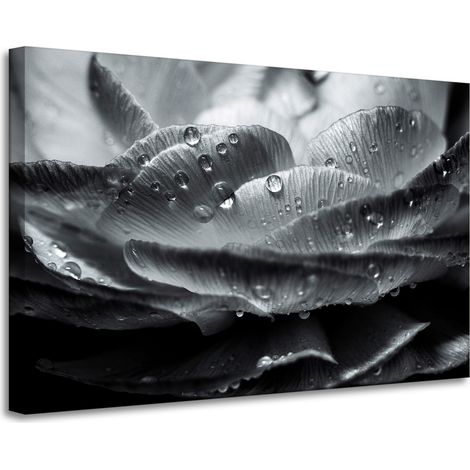Leinwanddruck Blume in Tautropfen 90x60 cm