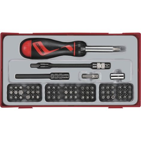 Jeu embouts avec tournevis à cliquet TT1 tray Plat- PH- PZ- TX-- HEX- TPX- square 74 pièces Teng Tools TTMD74