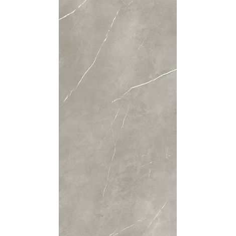 Gres Porcelánico Efecto Mármol Royal Gris Mate 60X120 - EPYF169 (Ceramishop.es) (1/5)