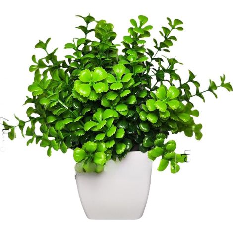 Plante Artificielle en Pot Réaliste en Plastique Vert Persistant Entretien Décoration Élégante pour Bureau Maison Café 18x18x18cm(Milan Grass) (1/5)