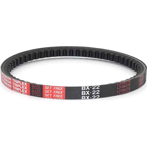 Courroie trapézoïdale crantée BX22