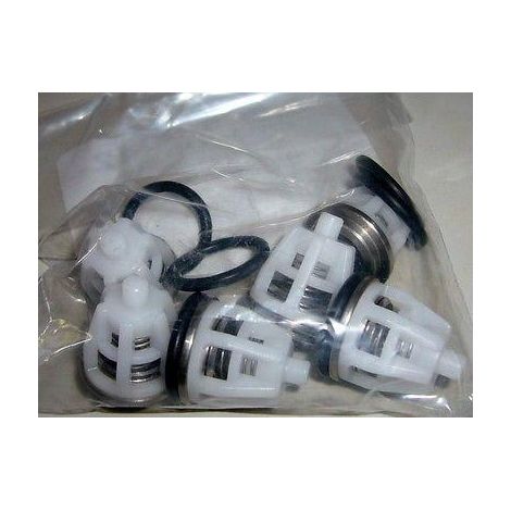 KIT VALVOLE POMPA IDROPULITRICE LAVORWASH ORIGINALE 6.605.0042 (1/2)
