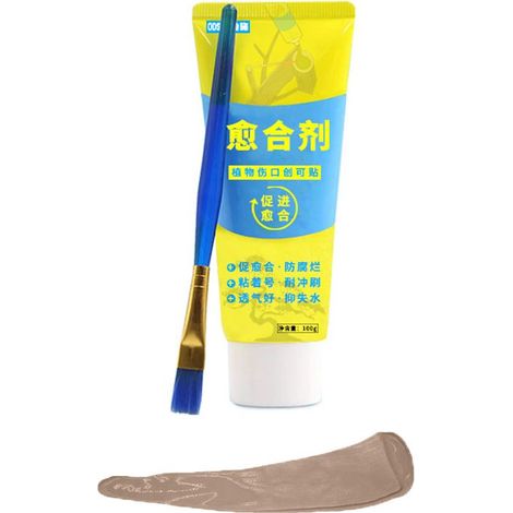 1 Pièces Baume Cicatrisant Arbre avec Brosse – Mastic Greffe Arbre pour Réparation des Blessures de Taille, Protection des Bonsaïs et Arbustes (Marron) (1/5)