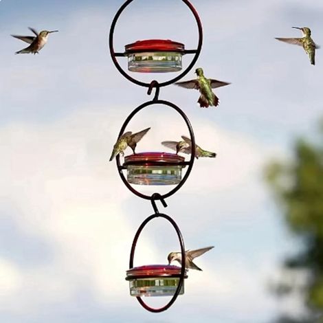 Distributeur À Nectar - Cadre Métallique Circulaire - Bol En Verre Rouge - Pour Colibris - Extérieur Jardin Patio - 3 Pièces