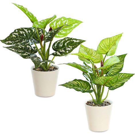 Set di 2 piante artificiali in plastica, 31 cm – Piante artificiali in plastica – Piante in plastica che sembrano ingannevolmente simili alle vere piante bianche – Per balcone, camera da letto, soggio (1/5)
