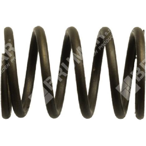Ventilfeder für DUCAR-Motorgeneratoren - 038443