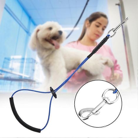 Lasso simple pour le toilettage des chiens et chats, compatible avec les tables de toilette et les baignoires. (1/2)