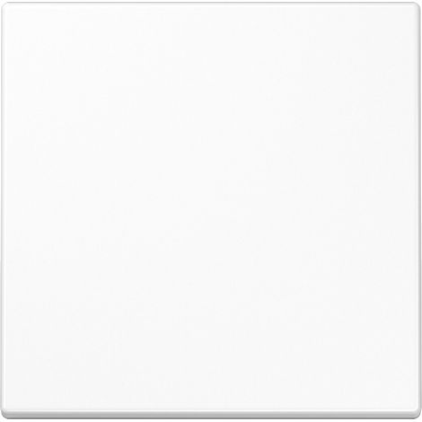 Jung Wippe aws für Taster LS 990 WW