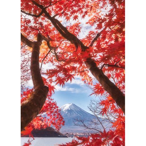 Tableau japonaix rouge & gris idéal déco salon | Tableau mont Fuji & arbre en fleurs pour couloir | Tableau sur toile paysage pour chambre adulte 0,5 x 0,7 m (1/2)