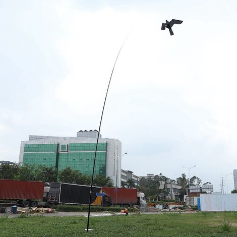 Cerfs-volants pour rizières, 6M, cerfs-volants anti-oiseaux, ventes exclusives d'entrepôts à l'étranger. (1/5)