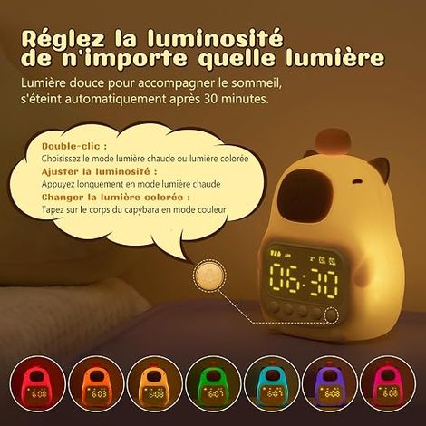 Horloge Réveil Capybara avec Veilleuse pour Enfants, Lampe Rechargeable en Silicone, Lampe Animaux Mignonne de Bureau, Compagnon pour Le Sommeil des Garçons et des Filles (1/3)
