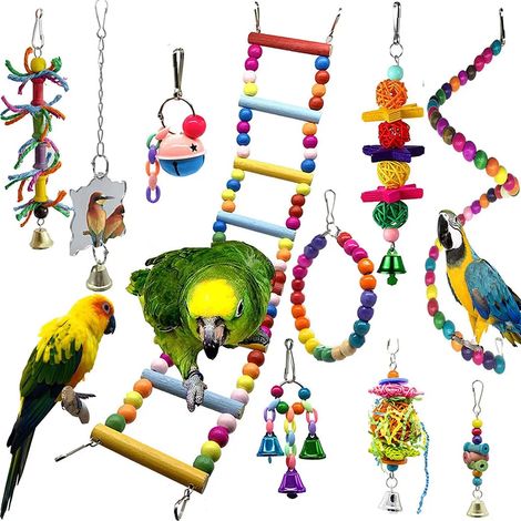 Lot de 10 jouets pour oiseaux, accessoires pour perroquets (1/5)