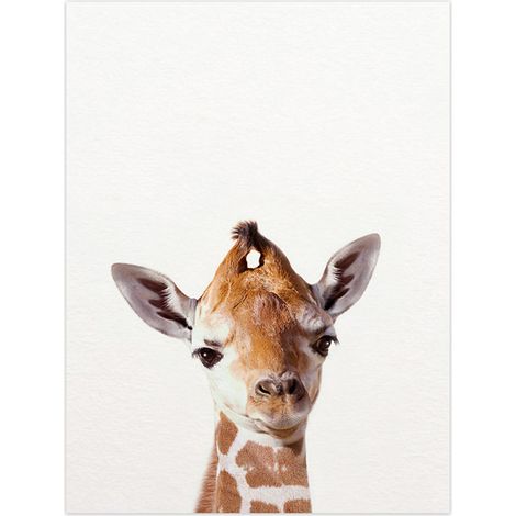 Affiche artistique représentant des bébés animaux : lion, zèbre, éléphant et girafe. Tableau sur toile avec des animaux de safari, idéal pour décorer les murs de la chambre d'enfant. (1/5)