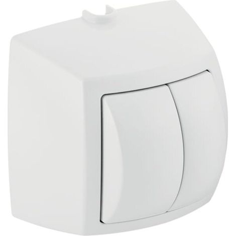 Geberit 240584KA1 poussoir manuel à double débit pour commande de WC (1/4)
