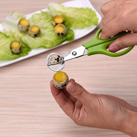 Ciseaux à œufs de caille en acier inoxydable - Coupe-œufs - Ouvre-coquille d'œuf - Petit ciseau ouvert - Outil de cuisine pour la (1/5)