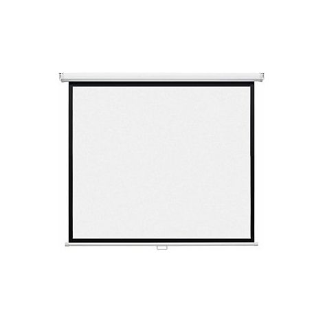 magnetoplan Schermo a rullo poliestere / rivestito in PVC (1/3)
