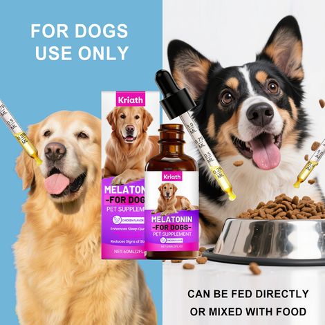 Gouttes pour le sommeil des chiens : Formule douce favorisant un sommeil réparateur chez les animaux de compagnie. Complément alimentaire quotidien facilement assimilable. – 60 ml (1/5)