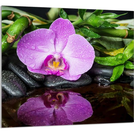 Panneau de verre POUR la cuisine 65x60 Orchidée (1/5)