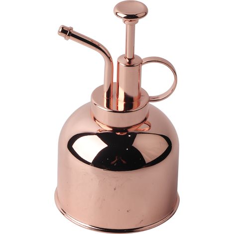 Belle bouteille pulvérisateur à main pour arrosage des plantes d'intérieur, brumisateur de plantes d'intérieur, accessoire de jardinage.