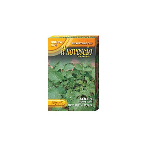 SCATOLA SOVESCIO SEMI DI SENAPE ORTO GIARDINO SEMI