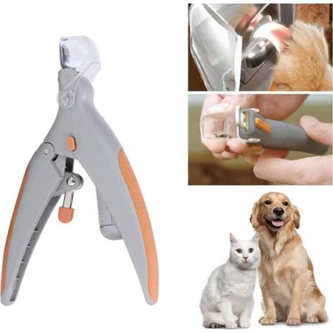 Coupe-griffes pour animaux avec lumière LED - Coupe-griffes pour chats et chiens avec lumière - Pour l'entretien des sabots des animaux de petite et moyenne taille - 15 x 9 cm - 1 pièce (1/5)