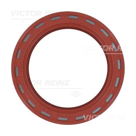 BAGUE D'ÉTANCHÉITÉ 812490910 REINZ