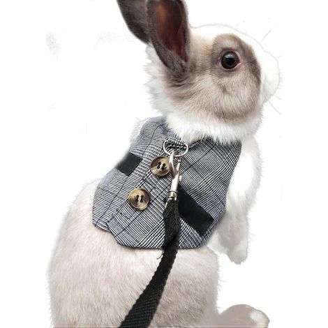 Harnais ajustable pour lapin, ensemble harnais et laisse pour petits animaux (lapins, hamsters, chats), gris, taille L (1/5)