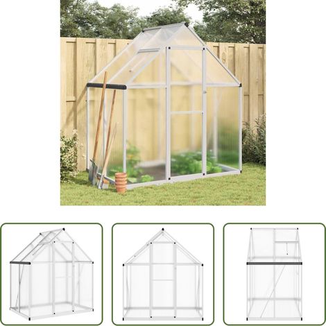 Protection des plantes - Serre avec cadre de base argent 169x114x195 cm aluminium (1/5)