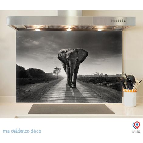 Fond de hotte : Eléphant Noir et blanc - Alu composite - 60 cm - 45 cm (1/5)